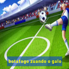 botafogo zuando o galo