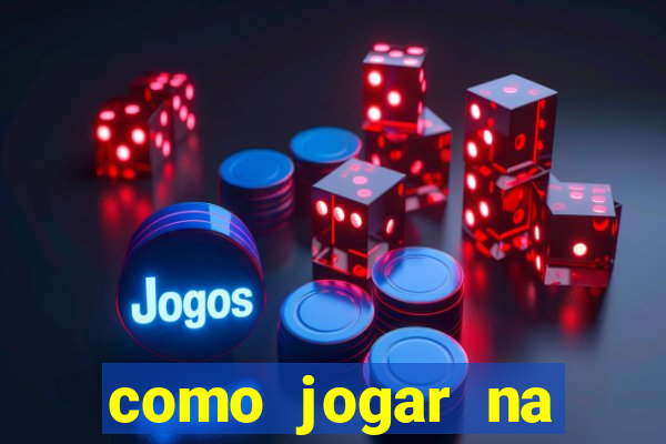 como jogar na lotinha do jogo do bicho