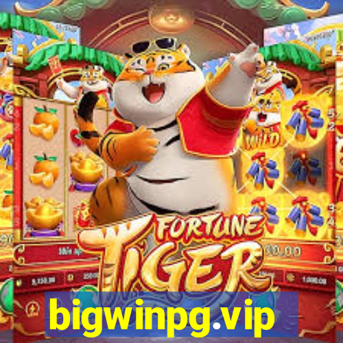 bigwinpg.vip