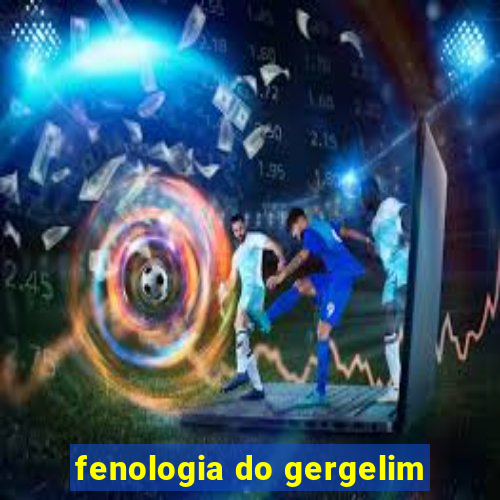 fenologia do gergelim