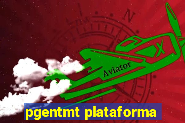 pgentmt plataforma