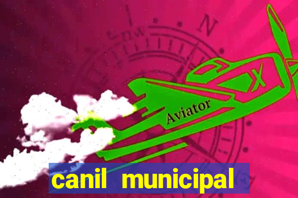 canil municipal porto alegre