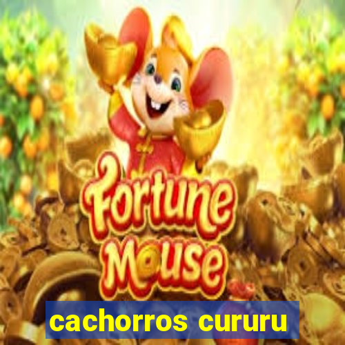 cachorros cururu