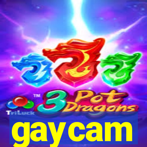 gaycam