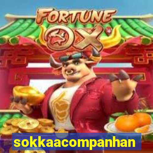 sokkaacompanhantes