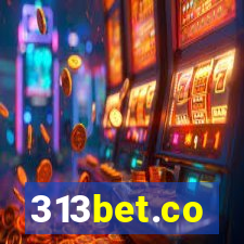 313bet.co